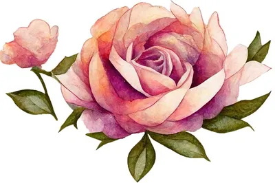 Изображение розы в высоком разрешении с эффектом размытия