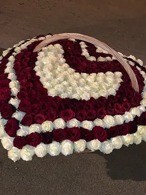 Уникальное изображение 501 роза с игрой цветового контраста