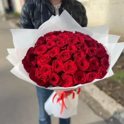 51 красная роза: Элегантное изображение розы