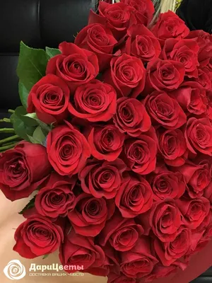 Изображение красной розы: Разные форматы для загрузки
