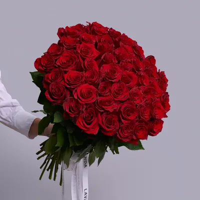 51 красная роза: Оригинальный размер в формате jpg
