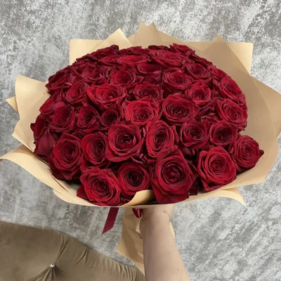 51 красная роза: Оригинальное jpg-изображение