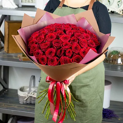 Фотография красной розы: Большой выбор форматов
