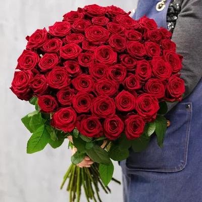 Фотография 51 розы - качественное изображение в разных форматах
