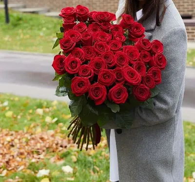 Розы 51 роза 80 см в формате jpg с высоким разрешением и отличной детализацией