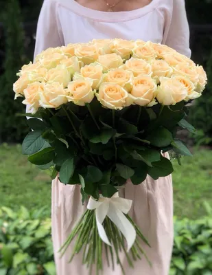 Фотка 51 роза 80 см в формате jpg с насыщенными цветами и очертаниями лепестков
