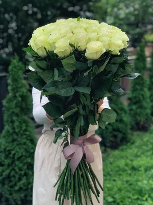 Качественная фотография 51 роза 80 см для использования в магазине цветов
