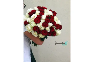 Розы 51 роза 80 см в формате jpg с потрясающей четкостью и насыщенными цветами