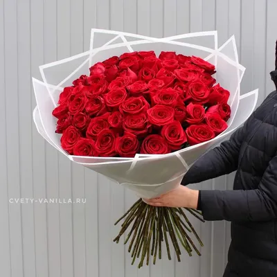 Розы 51 роза 80 см в формате jpg