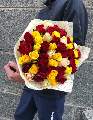 Фото 51 розы в руках: доступно для скачивания в формате webp