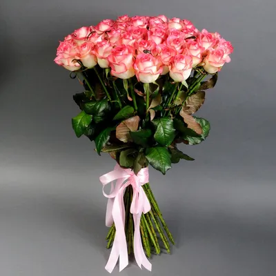 Фотография 51 розы в руках: красивое изображение в png