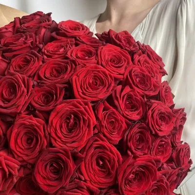 Уникальные фото розы в различных форматах