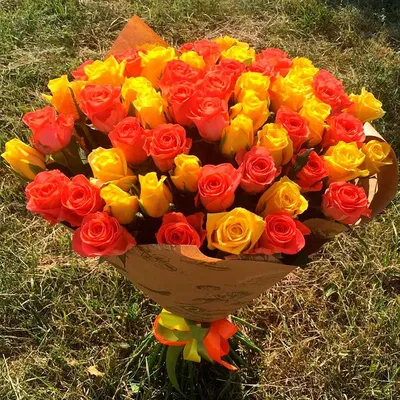 Фотография розы с опцией скачивания в разных форматах