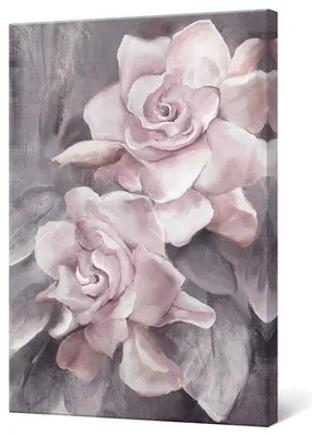 Фотография розы в высоком качестве с разными форматами