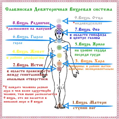 Очарование внутреннего света: Картинка 7 чакр человека