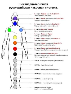 Световая гармония: Изображение чакр человека