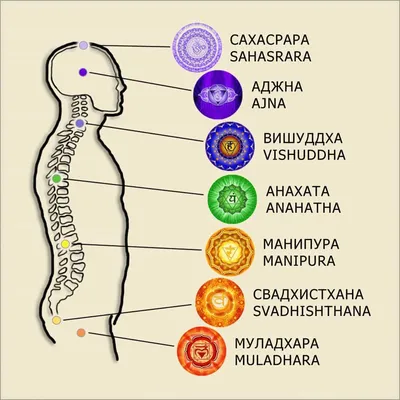 Фотографии энергетических точек: 7 чакр человека