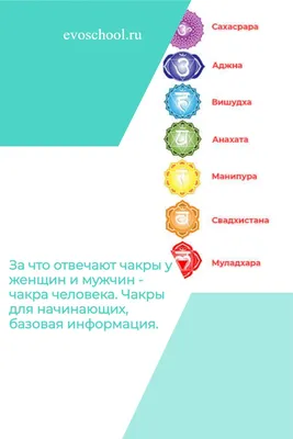 Энергетическая гармония: Изображение чакр с возможностью выбора размера