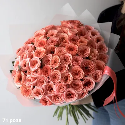 Шикарное изображение 71 роза для скачивания в webp