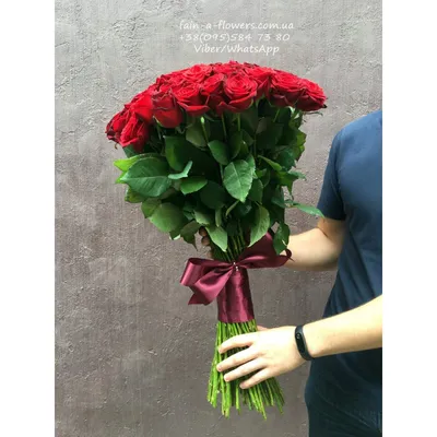Фото розы с высокой чёткостью и яркими цветами