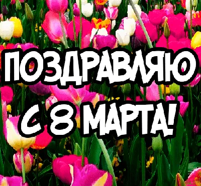 Весенний фотомарафон: 8 марта в картинках и гифках