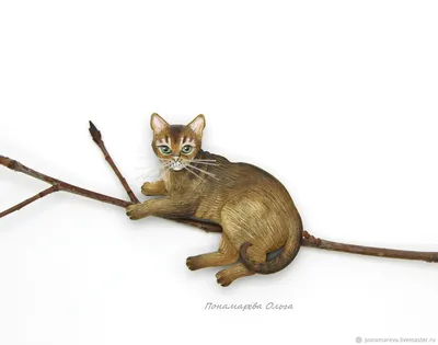 Изображения абиссинских кошек: скачивайте в любом формате, который вам нравится