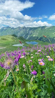 Фотки гор Абхазии в формате 4K для скачивания