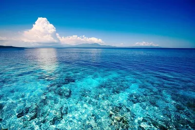 Кристально чистые воды Абхазии - фото полное очарование моря