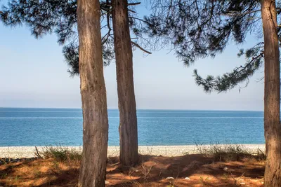 Абхазия: фотографии пляжей в различных размерах для скачивания
