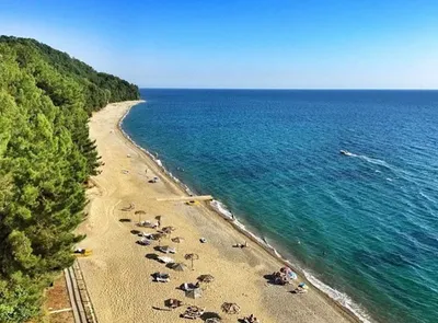 Фото пляжей Абхазии для путешественников