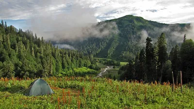 Фотографии пляжей Абхазии Цандрипш: природная красота в объективе