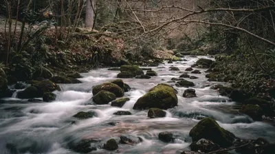 Скачать обои на андроид: захватывающие фотографии водопадов Абхазии.