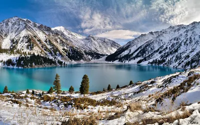 Абхазская зима: фотографическая поэзия