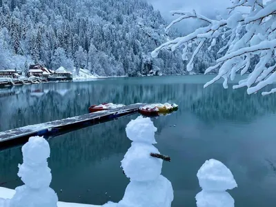 Абхазская зима в объективе: фотоколлекция