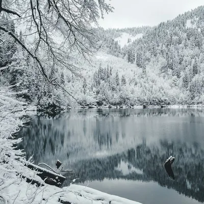 Фотографии зимнего волшебства: Абхазия на любой вкус
