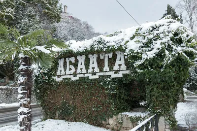 Зимний фотоальбом Абхазии: разнообразие форматов и размеров