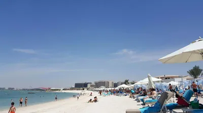 Фотоальбом: пляжи Абу-Даби в объективе камеры