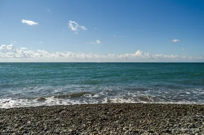 Погрузитесь в мир Адлерского пляжа чайка с помощью фотографий
