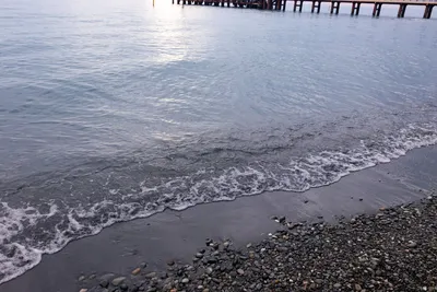 Фотографии, показывающие уникальные моменты на Адлерском пляже чайка