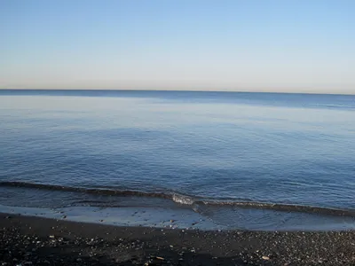 Фото пляжа Адлера с чайкой: уникальные арт-фото