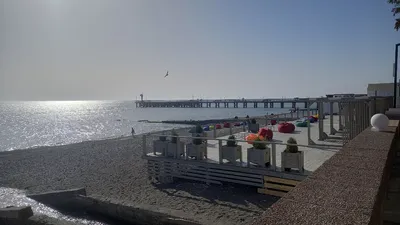 Фотография пляжа Адлера с чайкой: скачать в формате JPG
