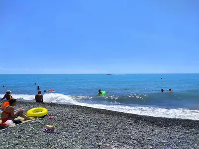 Уникальные моменты Адлерского пляжа на фотографиях