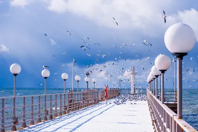 Зимний великолепный Адлер: Фотографии в высоком разрешении