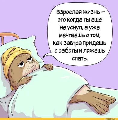 Смешные картинки: выберите формат для скачивания (JPG, PNG, WebP)