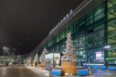 Снежная красота: Фото Аэропорта Домодедово зимой