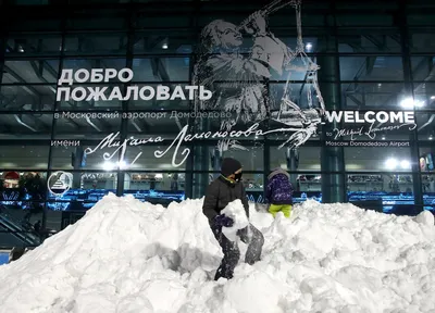 Аэропорт под снегопадом: Фото Домодедово в снежной обстановке