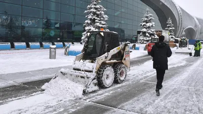Зимняя сказка: Фотографии Аэропорта Домодедово в январе