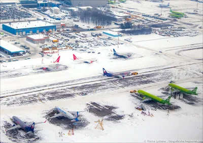 Ледяные фасады: Фотография Аэропорта Домодедово зимой