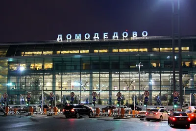 Зимний мороз: Фотокарточки Аэропорта Домодедово