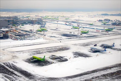 Зимний взлет: Фотографии Аэропорта Домодедово снежным днем